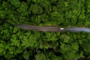 DKV-Mobility-verso-il-Net-Zero-header